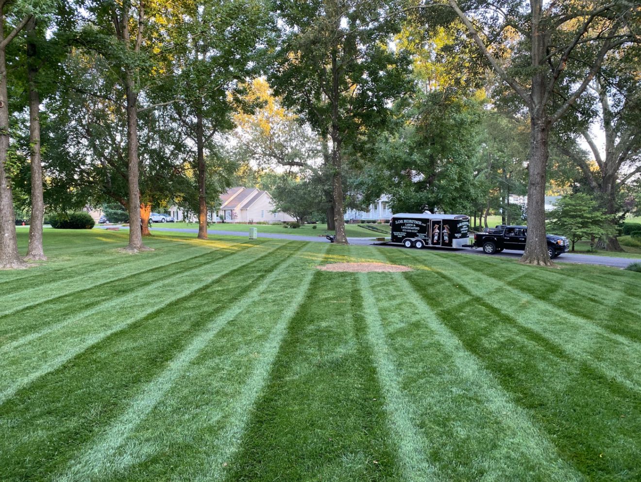 MOWING SERVICE Walk 